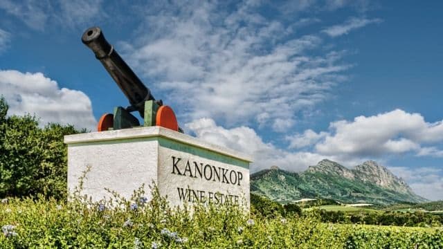 Roger Jones on 13 vintages of Kanonkop Black Label Pinotage