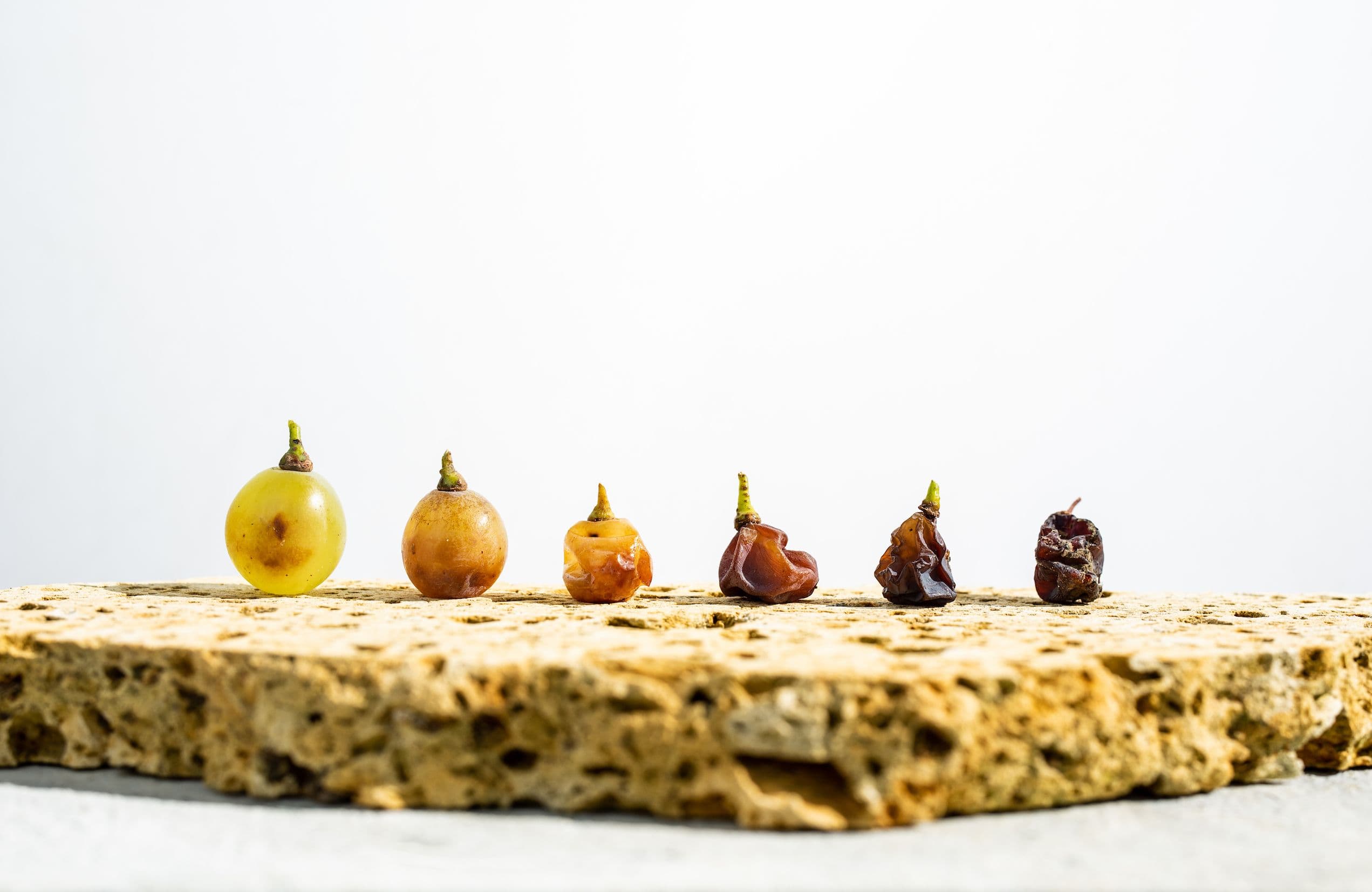 Why 2020 was a tough vintage for Hungary’s Tokaj wine region