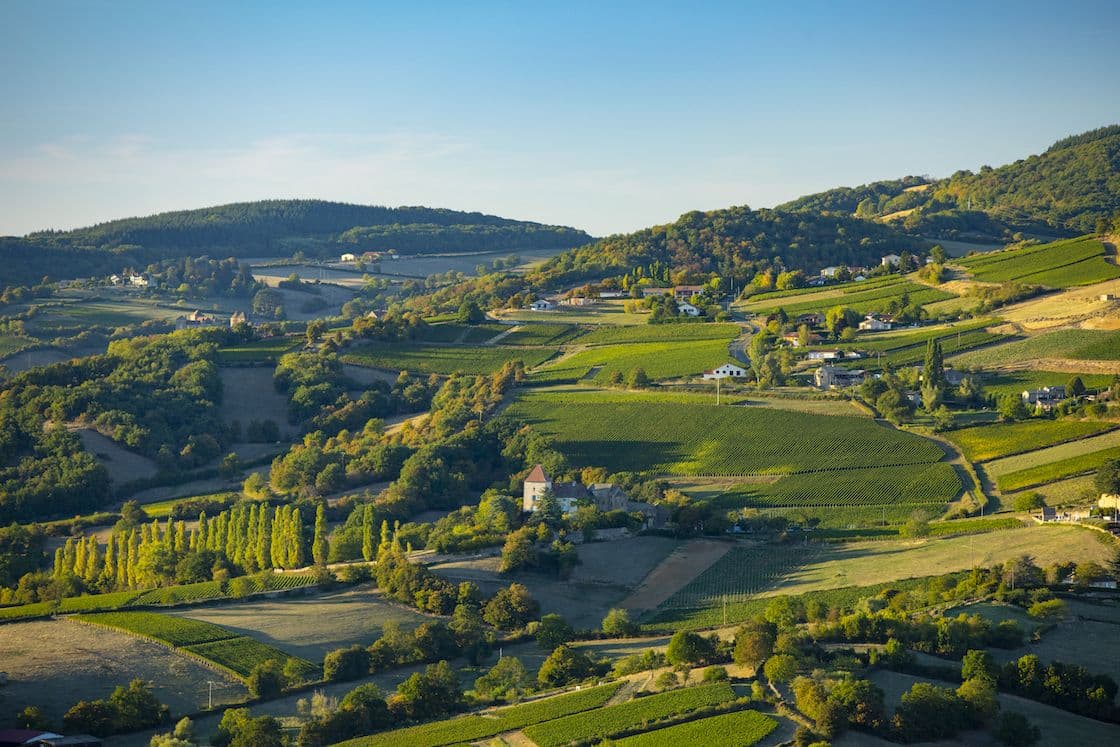 Bourgogne Week 2020: now’s the time to explore, says C&B