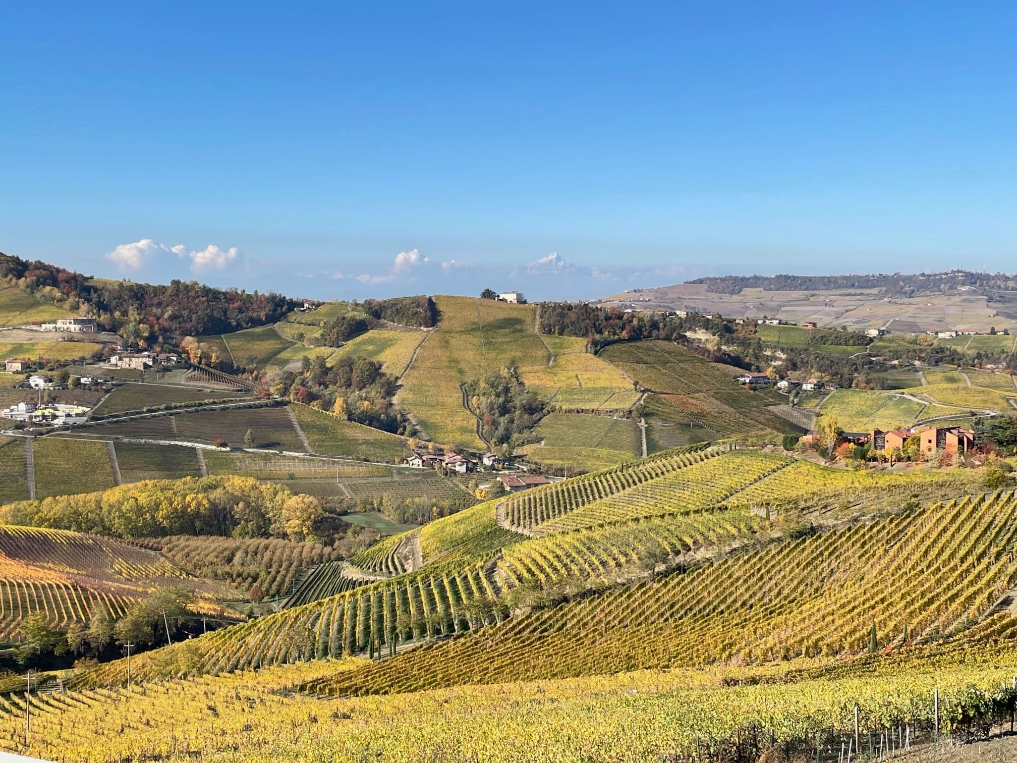 Walter Speller on what to expect at Nebbiolo Day 2022 tasting