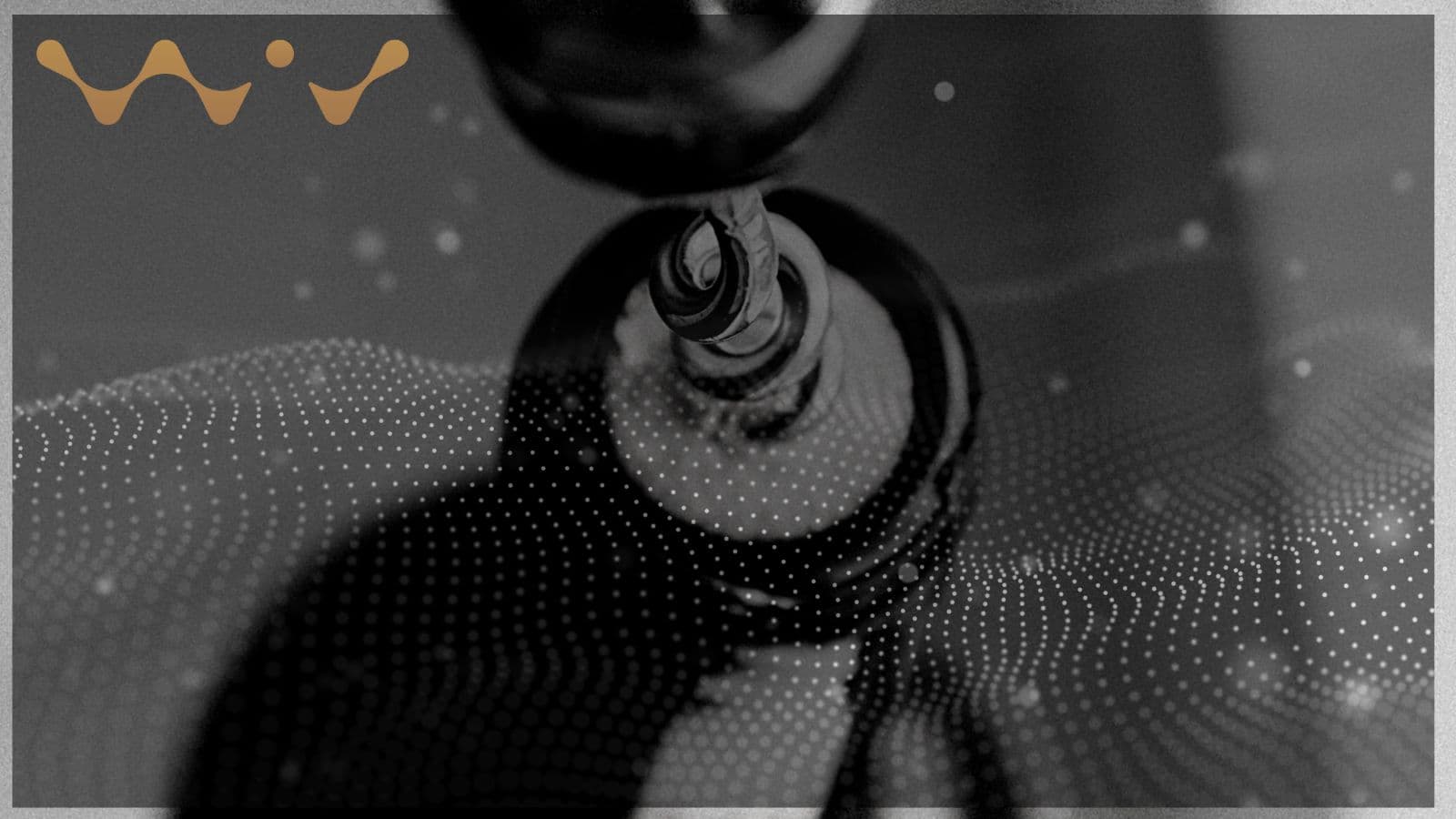 WiV Technology: blockchains add value to wine industry