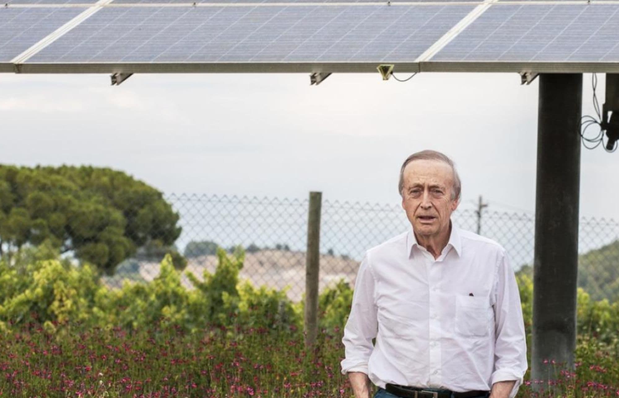 IWCA's five year climate progress assessed at its first UK tasting