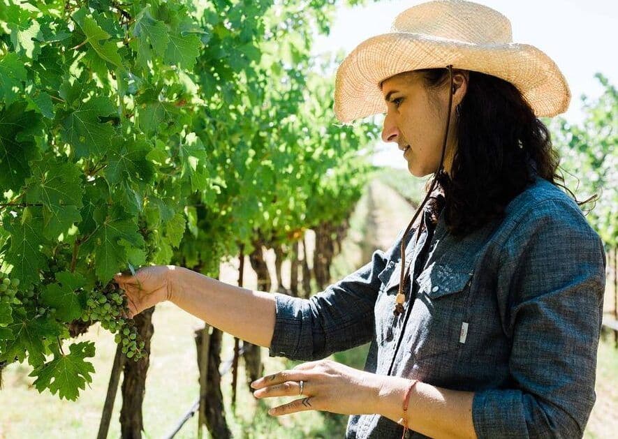 Lisse Garnett: Where Quintessa fits within the new age of Napa