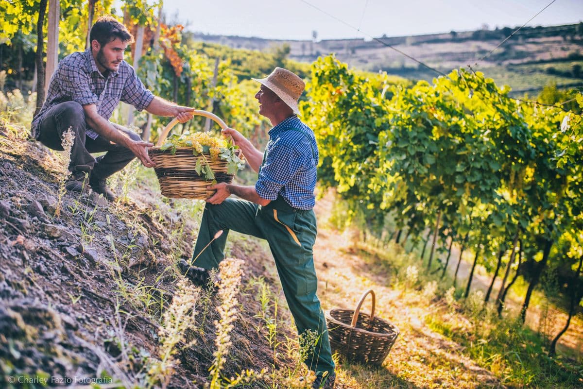 Why Italy and Prosecco still drives premium on-trade sales