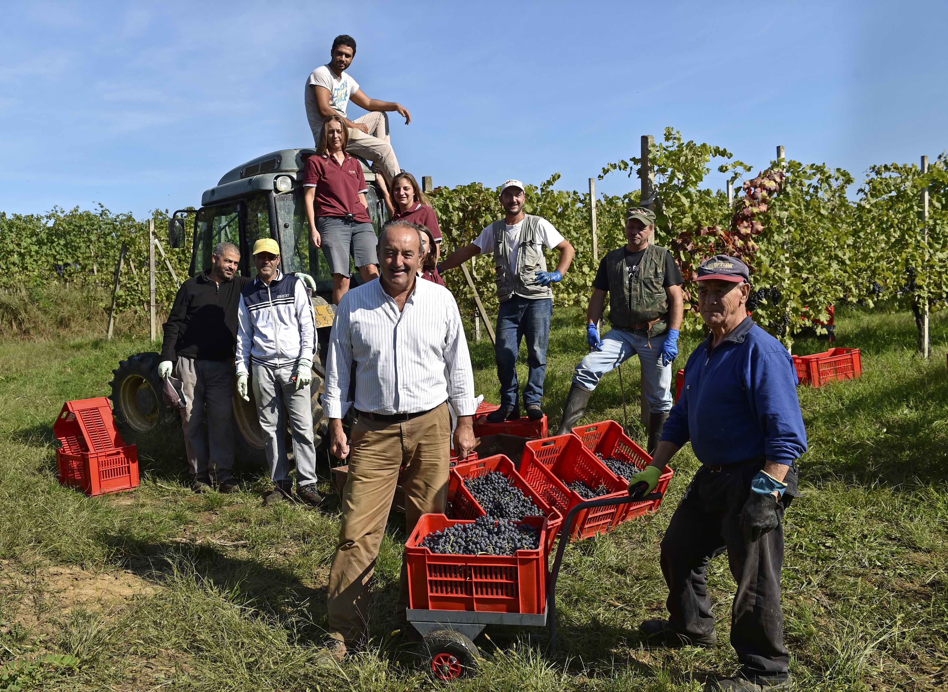 Paulo Rovellotti: how Nebbiolo is part of Piemonte’s DNA