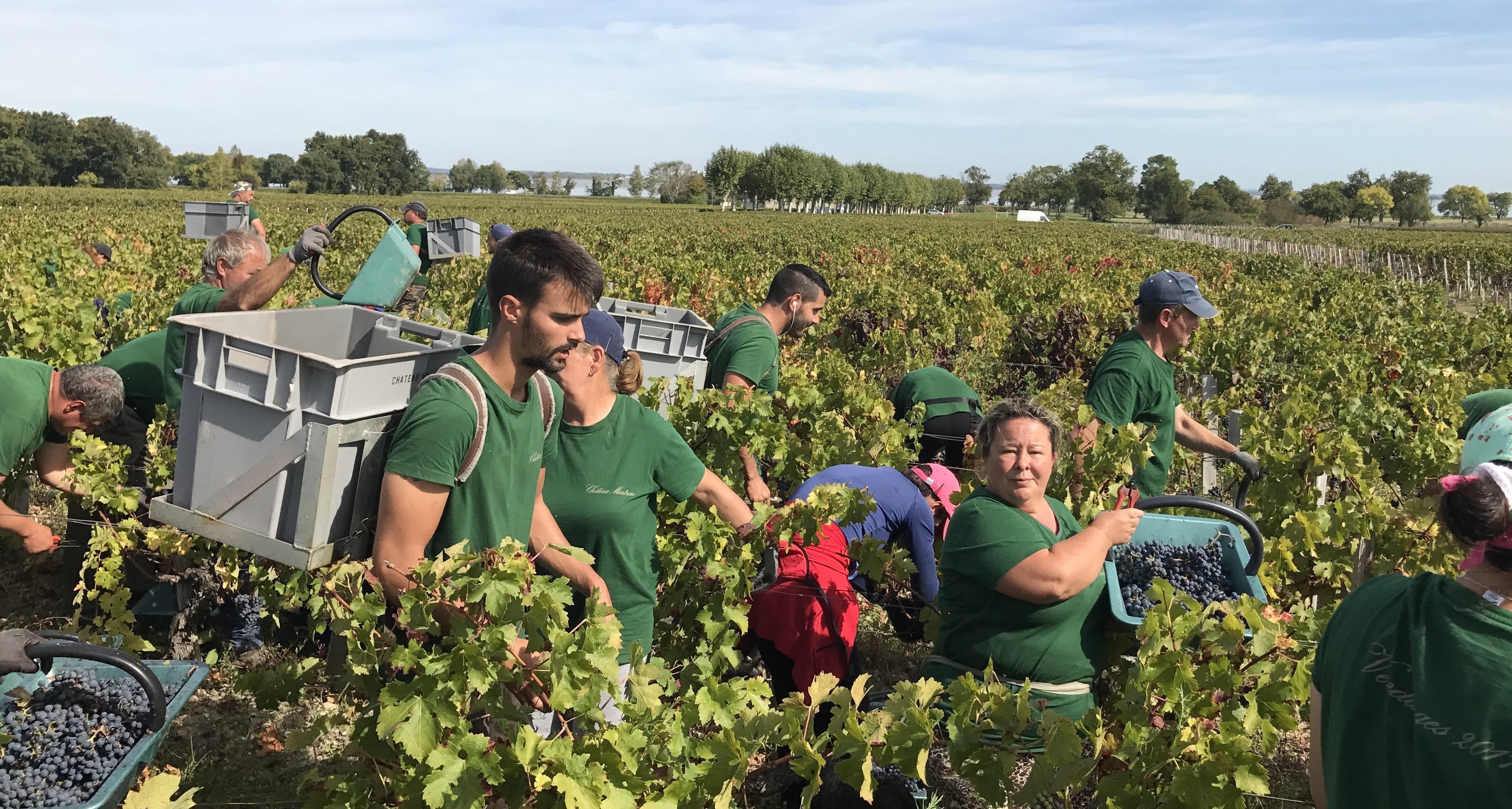 UK buyers first to taste Bordeaux 2017 at Grand Cercle tasting