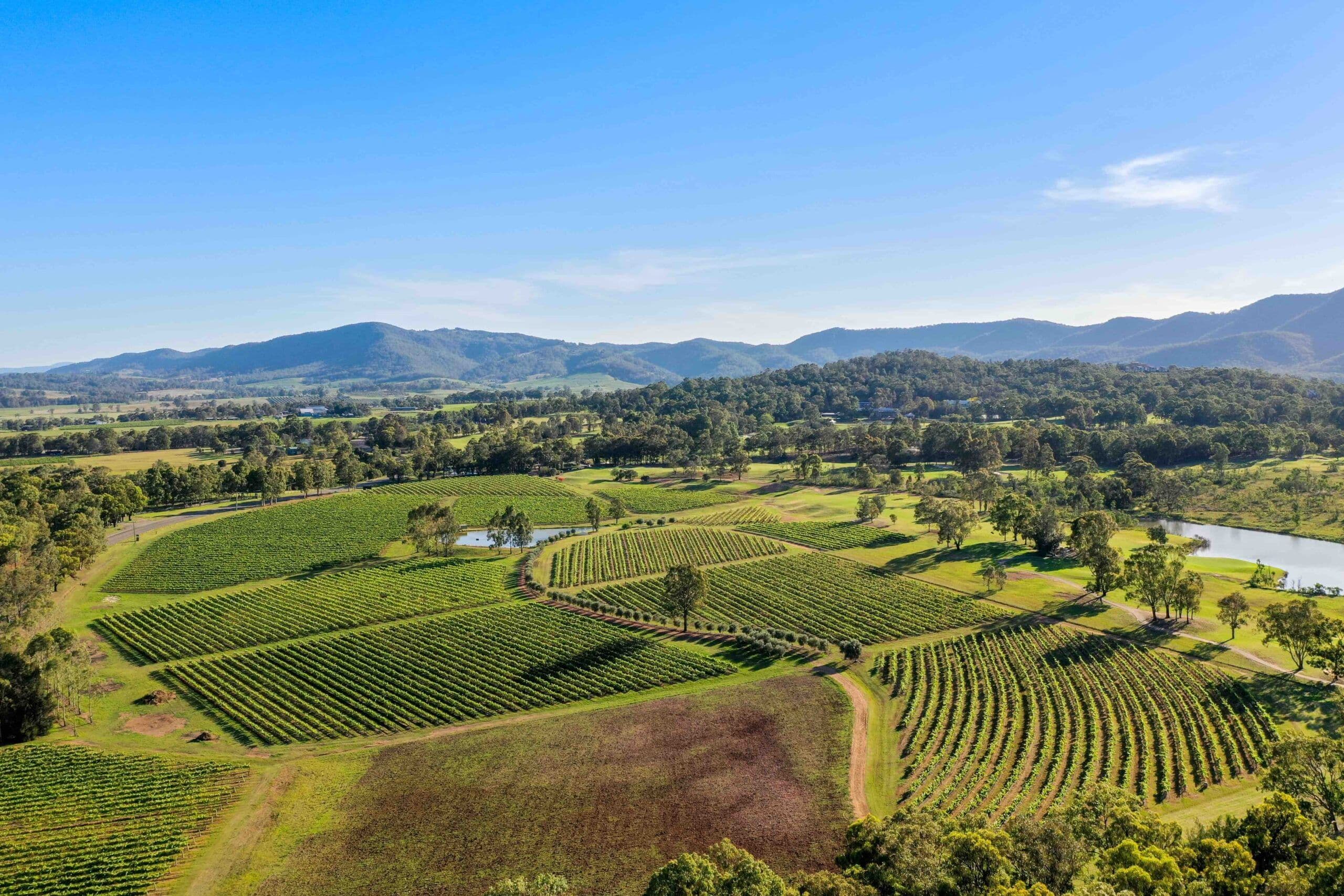 New South Wales shows its best wines at London’s 67 Pall Mall