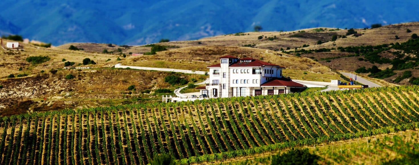 Exciting producers behind the rebirth of Bulgarian wine