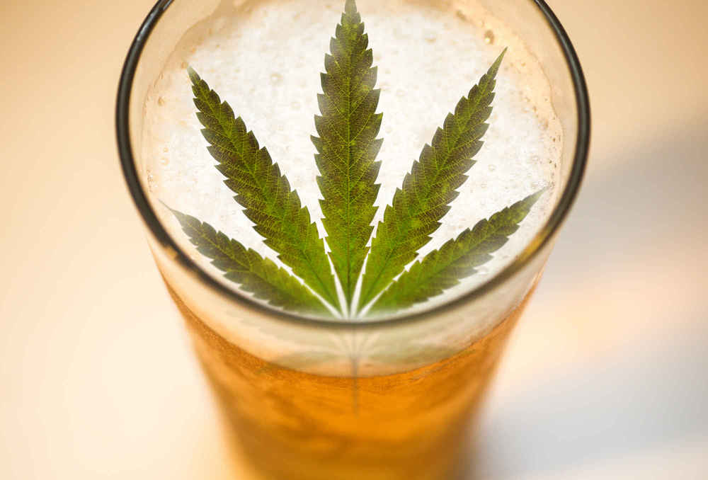 Legal cannabis: biggest threat or opportunity for drinks industry?