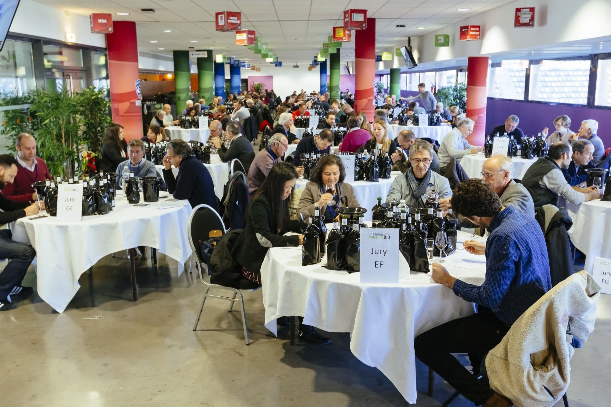 Millésime Bio 2020: organics is fast becoming the norm