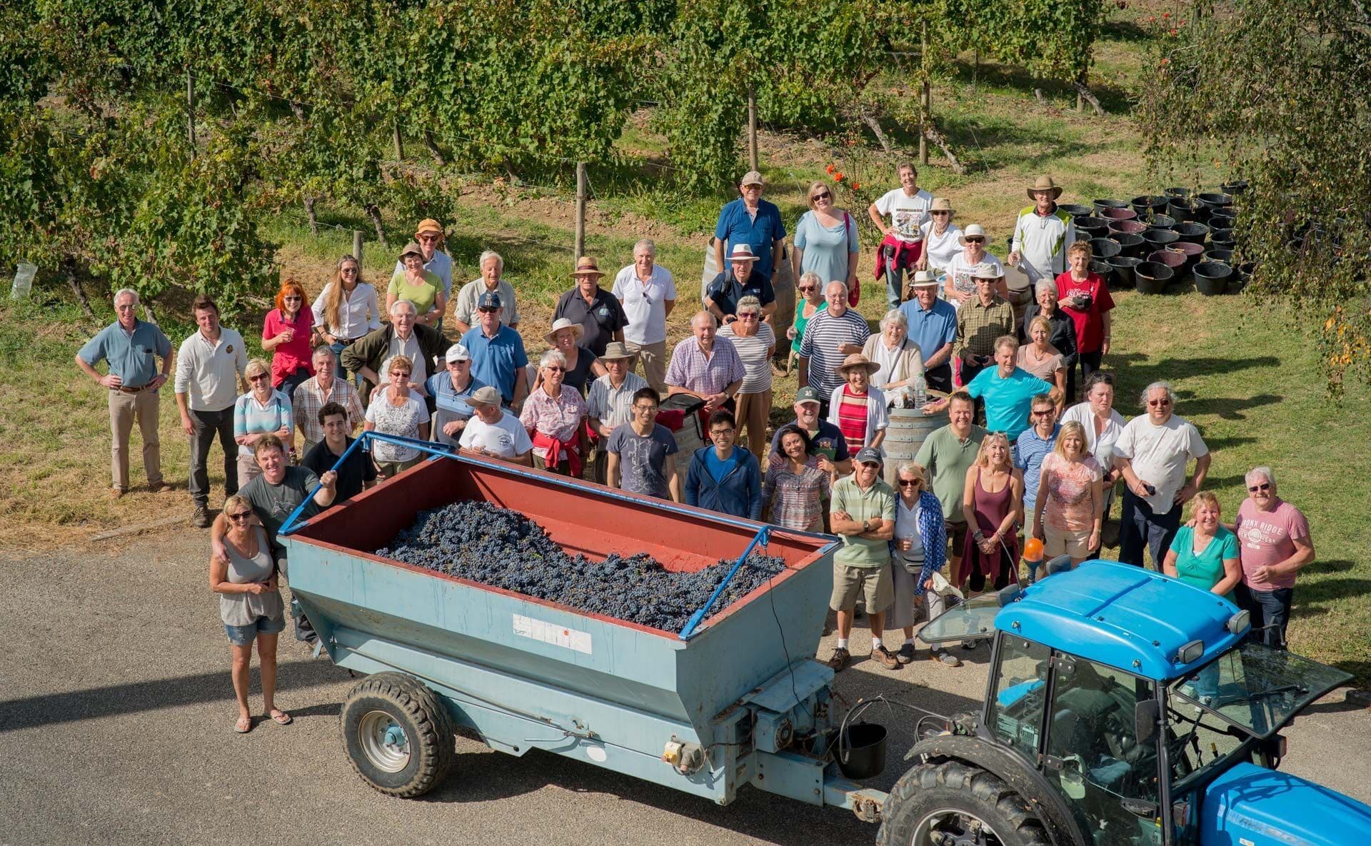 Crowd-funding helps Phillip Addis revive French vineyard