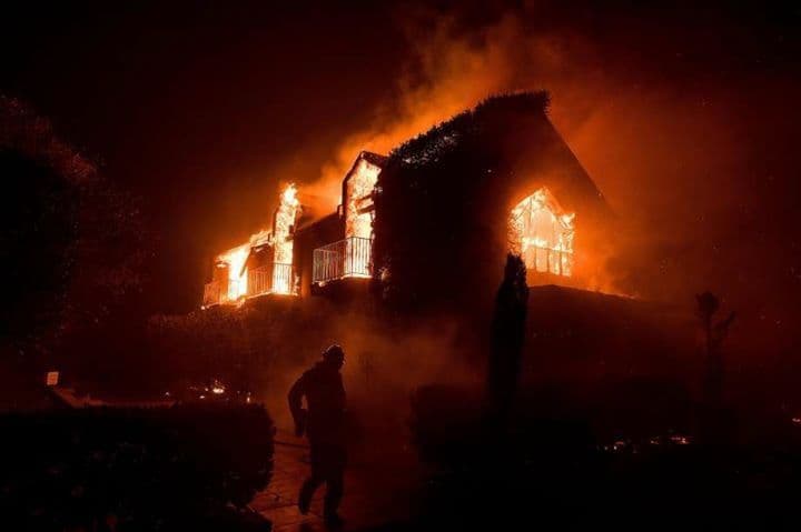 Napa fires one year on and what happened to Signorello