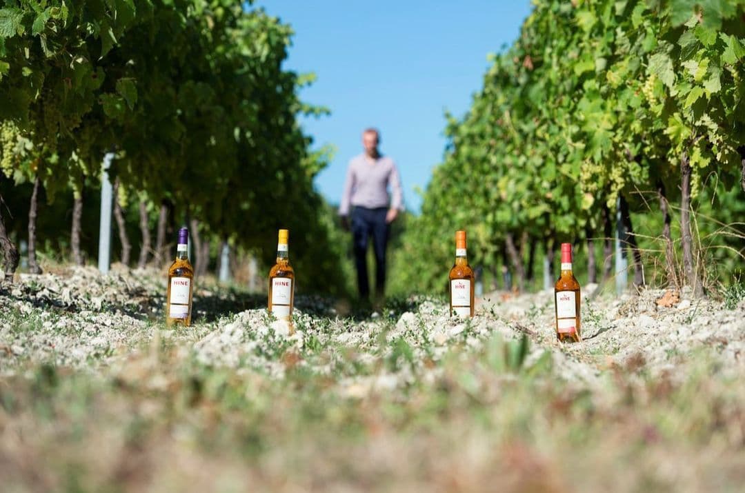 Hine hopes to entice wine buyers with Hine Bonneuil 2010