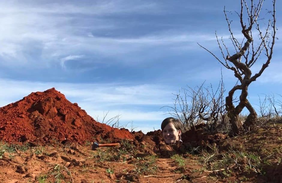 6 of the best from Swartland visionaries David & Nadia Sadie