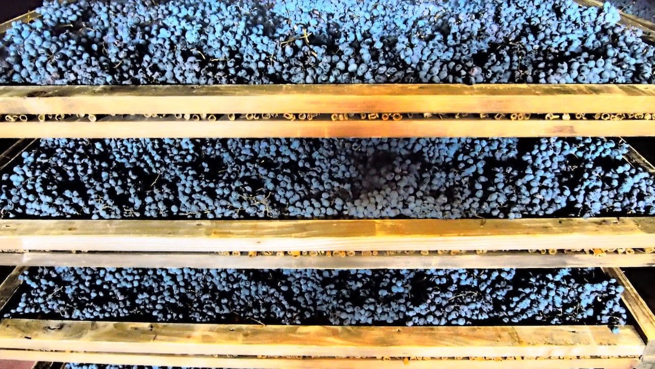 Innovations in Valpolicella: how Masi is pushing the envelope
