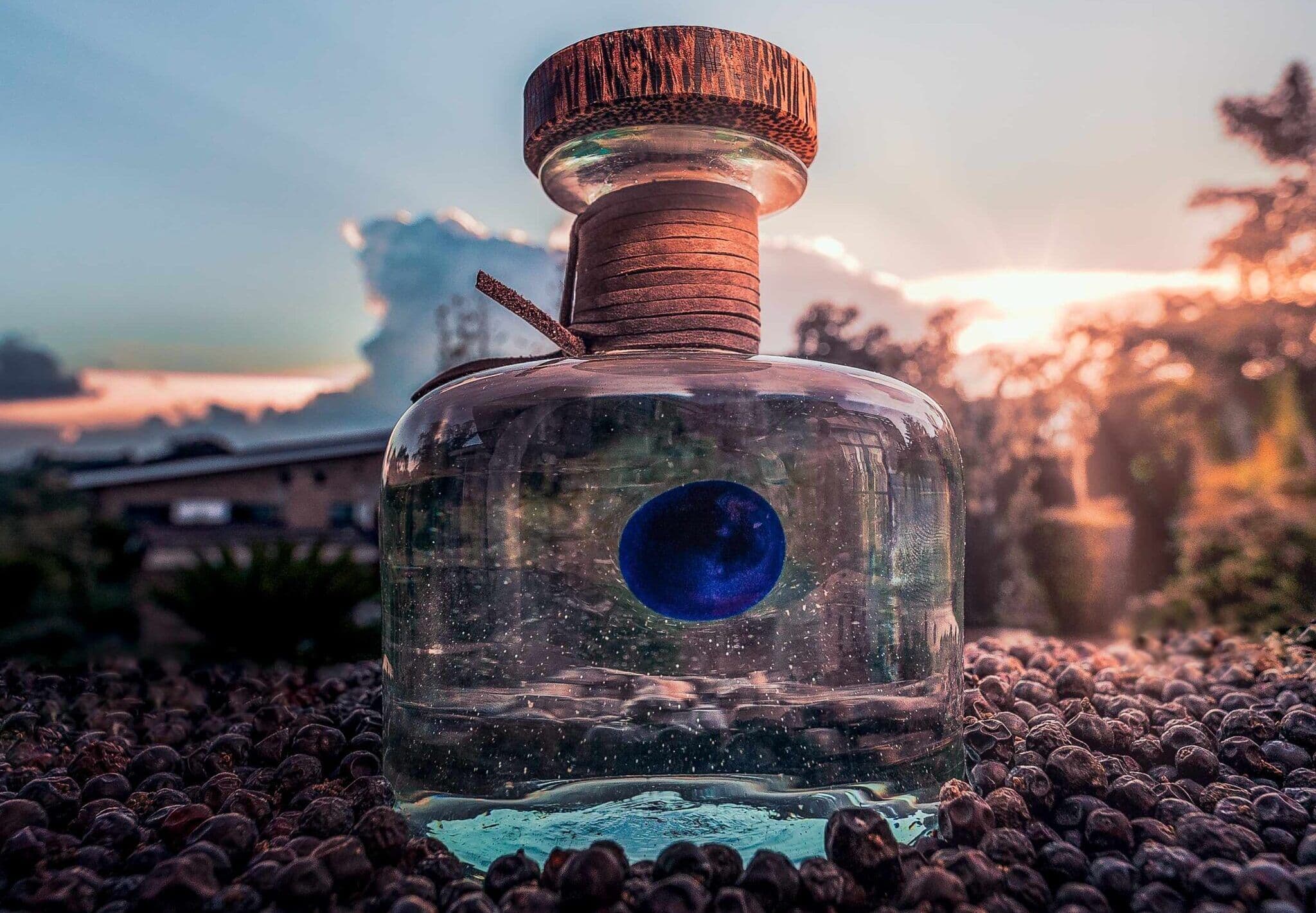 Ivan Dixon: I liked Procera Gin so much…I joined the company