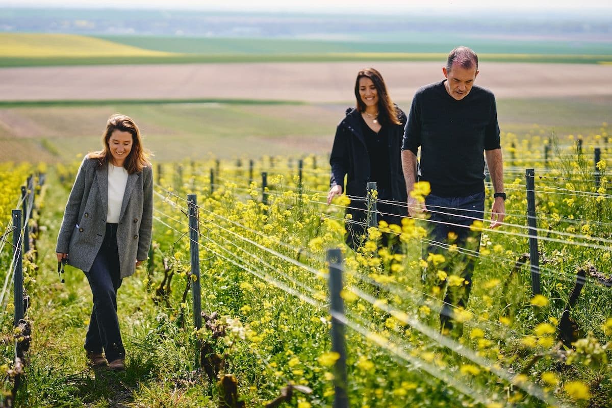 How Perrier-Jouët's agroecology is changing the heart of Champagne