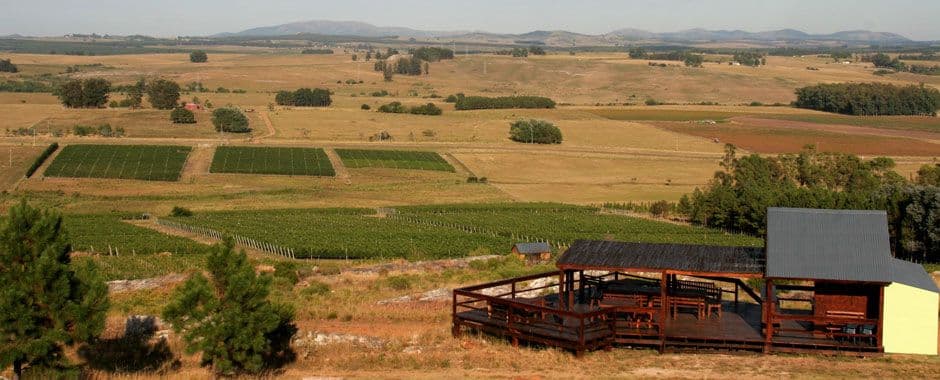 How Tannat is Uruguay’s answer to Malbec in gaining listings