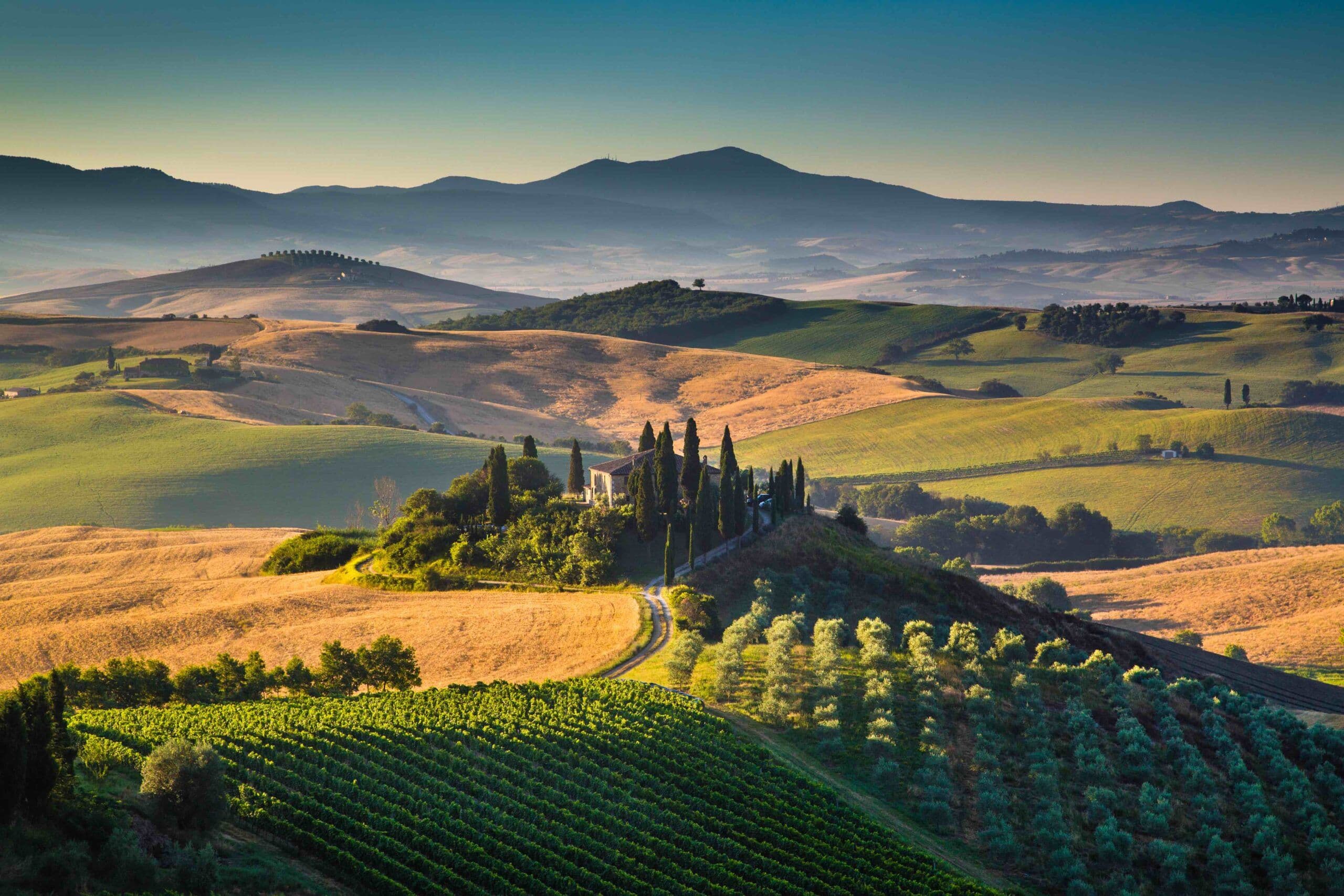 What to expect at Borsa Vini Italiani’s focus on Italian wines