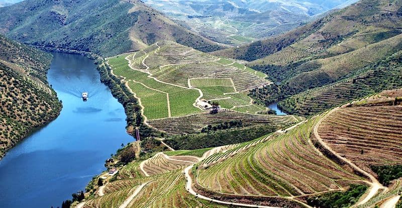 David Kermode: Is 2017 Vintage Port all it’s cracked out to be?
