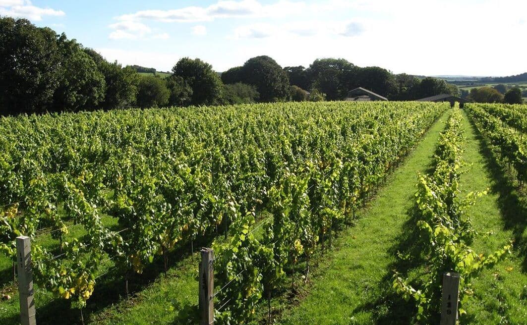 Discover ‘New England’ sparkling: 4 counties, 4 wineries, 4 wines